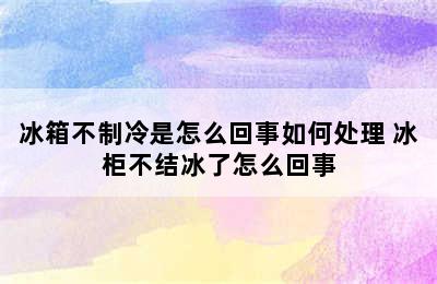 冰箱不制冷是怎么回事如何处理 冰柜不结冰了怎么回事